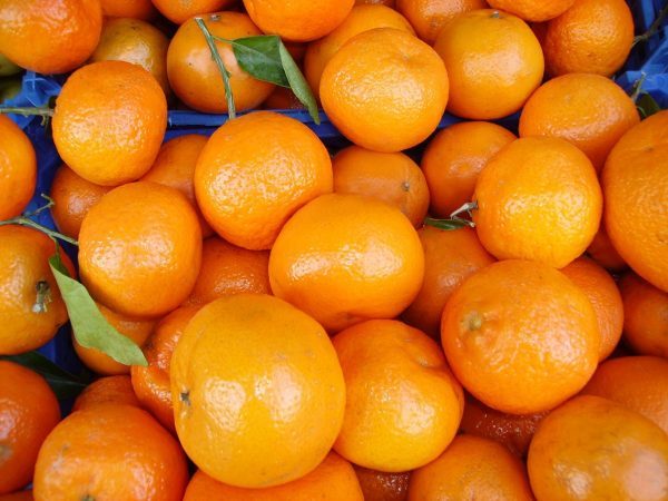 oranges-2147-600x450