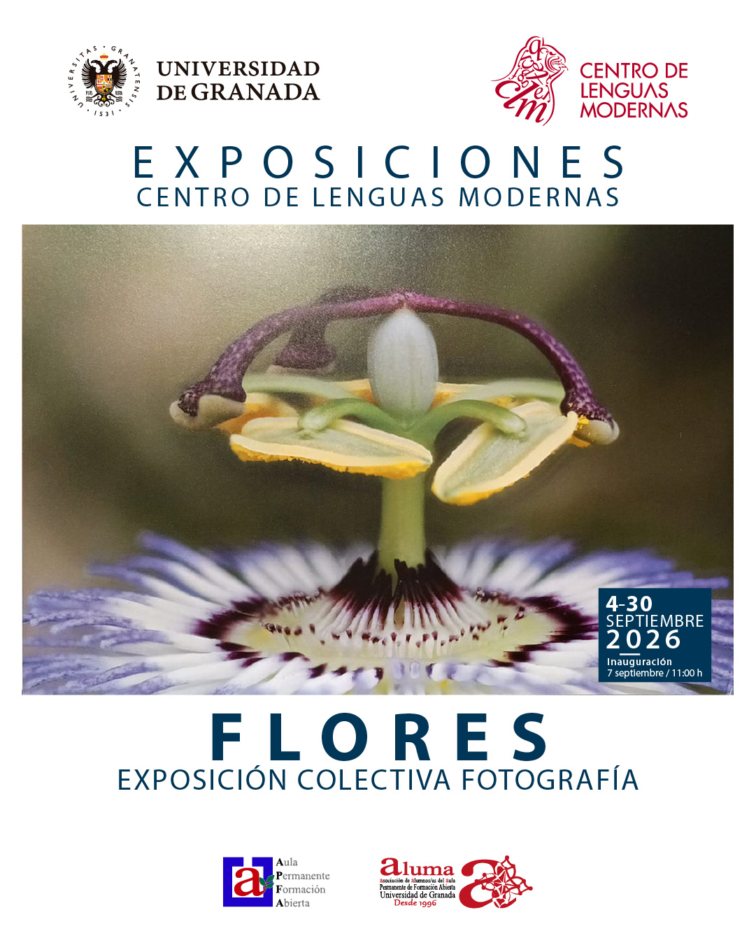 Exposición colectiva del Aula Permanente de Formación Abierta «Flores» · 30 sept 2026 — Patio del Centro de Lenguas Modernas