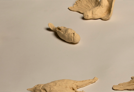 Exposición “Ecos de la belleza y el saber. Patrimonio carolino y prácticas contemporáneas” · 22 Sept 2026 — Museo de Ceuta. Revellín de San Ignacio